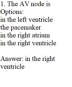 Lecture Exam 3